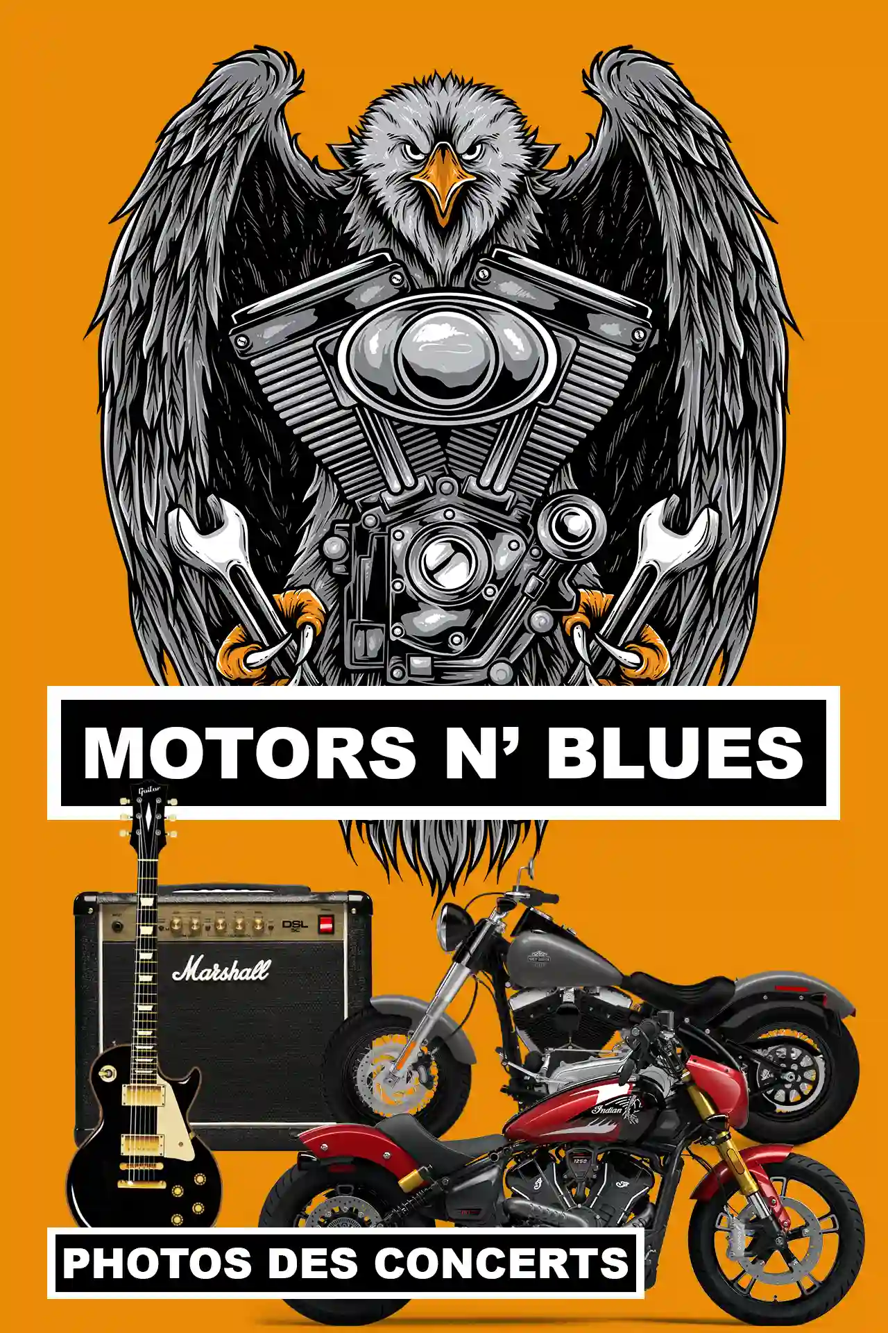 Les photos des concerts du Dax Motors n' Blues Festival.