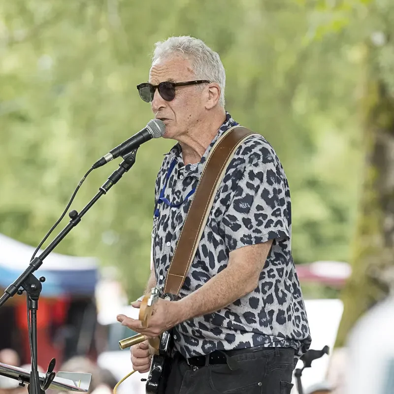 Justin Maurice, harmonica, guitares, claviers en concert à Dax.