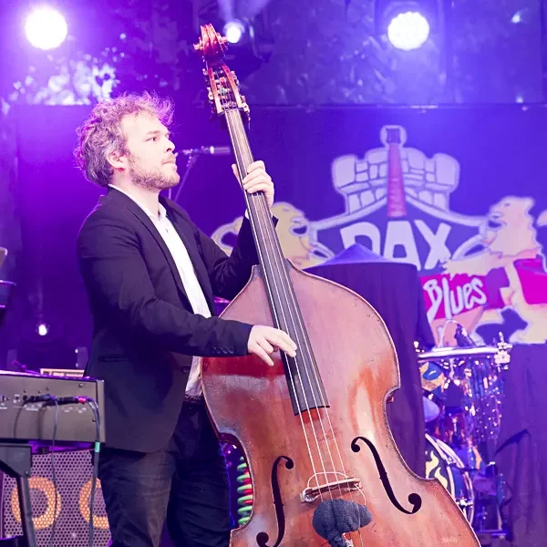 Photo du concert de Mayflies avec Emmanuel Forster à Dax en 2024.
