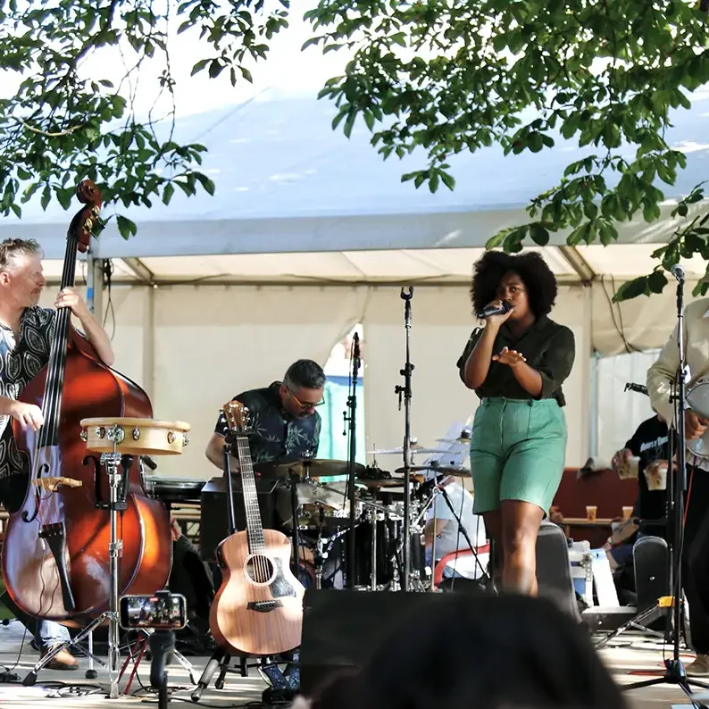 Concert de Seeds au Dax Motors n' Blues Festival, 5 juillet 2024.