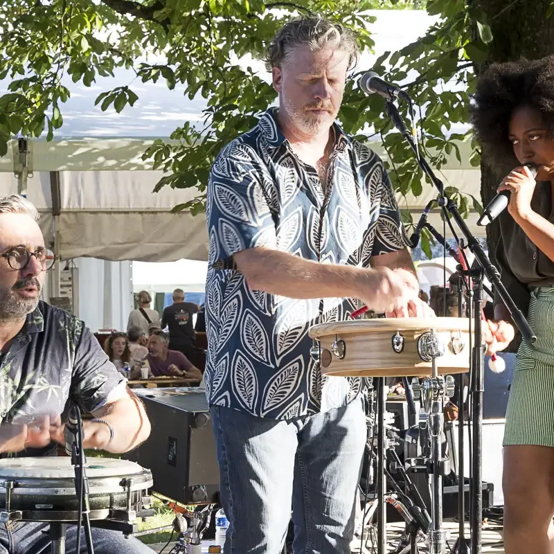 Photo du concert de Seeds au Festival Motors n' Blues 2024.