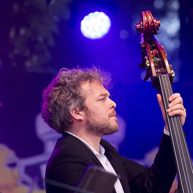 Concert de Mayflies avec Emmanuel Forster contrebassiste, à Dax.