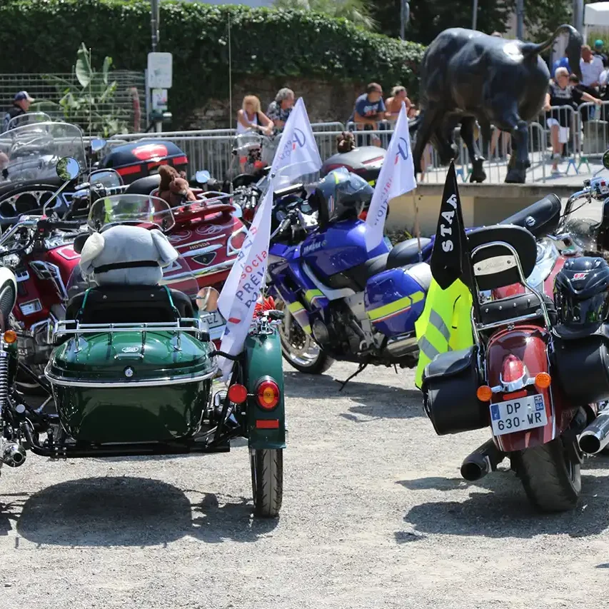 Festival Motors n' Blues 2019 par Sylvie B