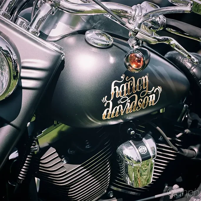 Harley-Davidson Côte Basque est partenaire du Dax Motors n ' Blues Festival.