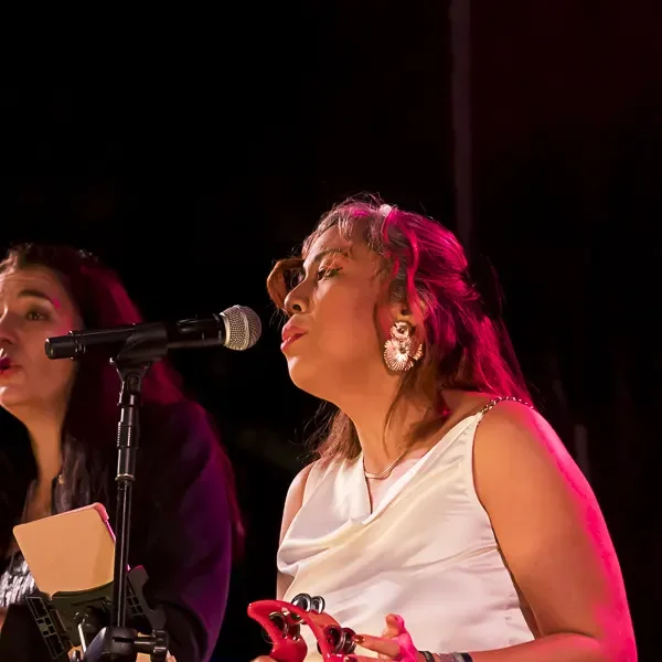 Photo du concert de Dublin Soul au Festival Motors n' Blues 2024.